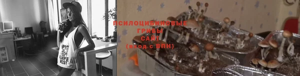 молекула духа Алексеевка