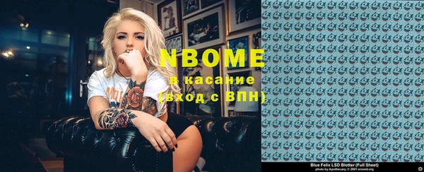 ГАЛЛЮЦИНОГЕННЫЕ ГРИБЫ Алзамай