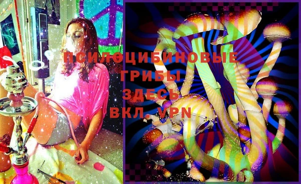 ГАЛЛЮЦИНОГЕННЫЕ ГРИБЫ Алзамай