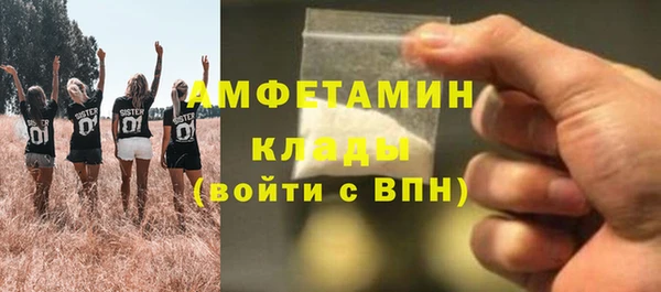 ГАЛЛЮЦИНОГЕННЫЕ ГРИБЫ Алзамай