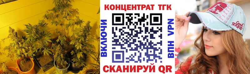 дарк нет клад  Чадан  ТГК Wax 