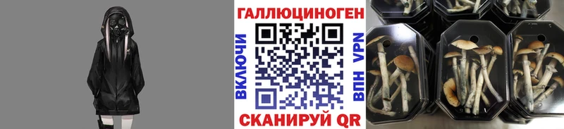 Галлюциногенные грибы прущие грибы  Чадан 